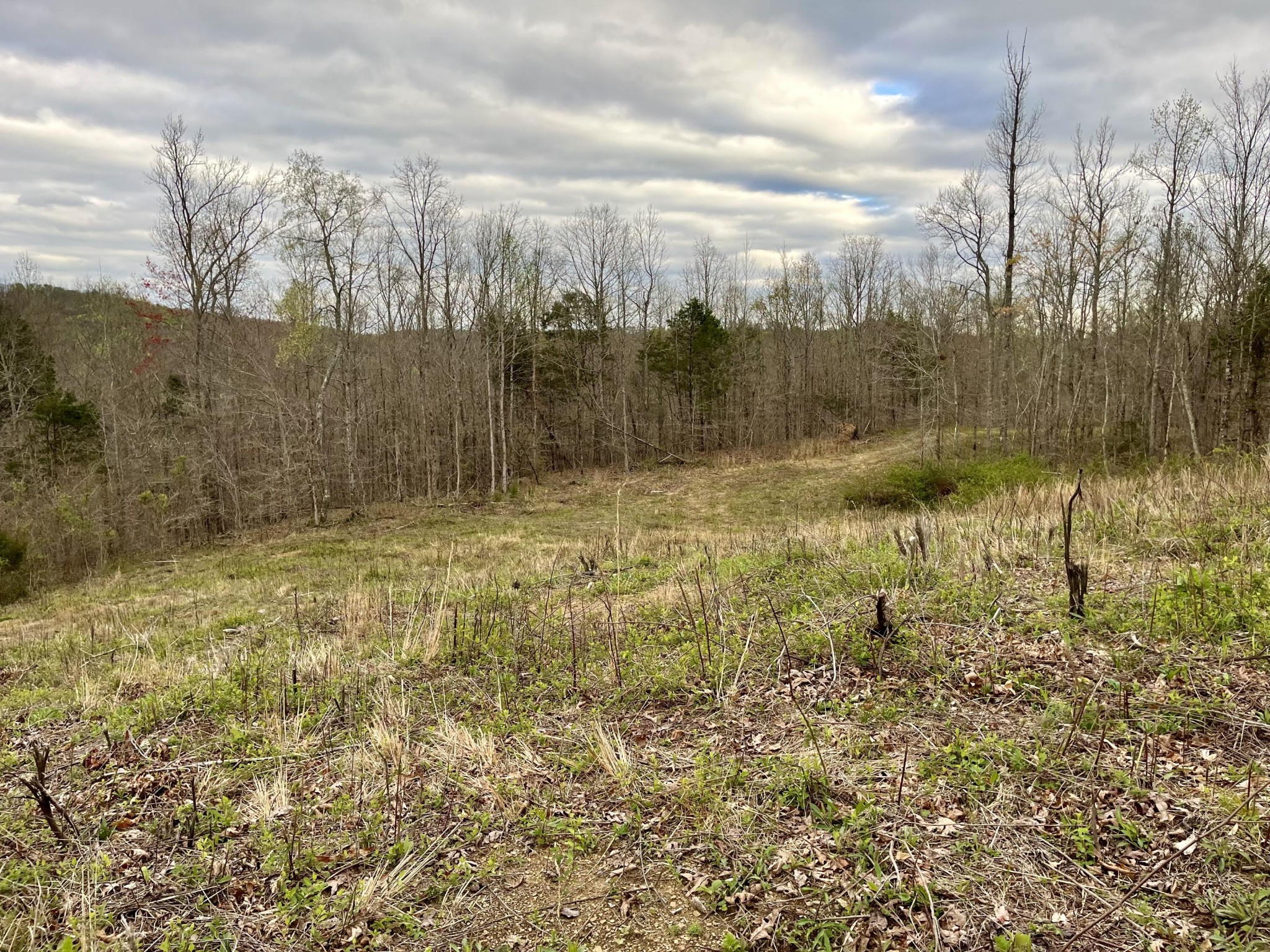 4 County Road 188 Decatur, TN 37322 - Photo 6 of 16 Gallery Image 6