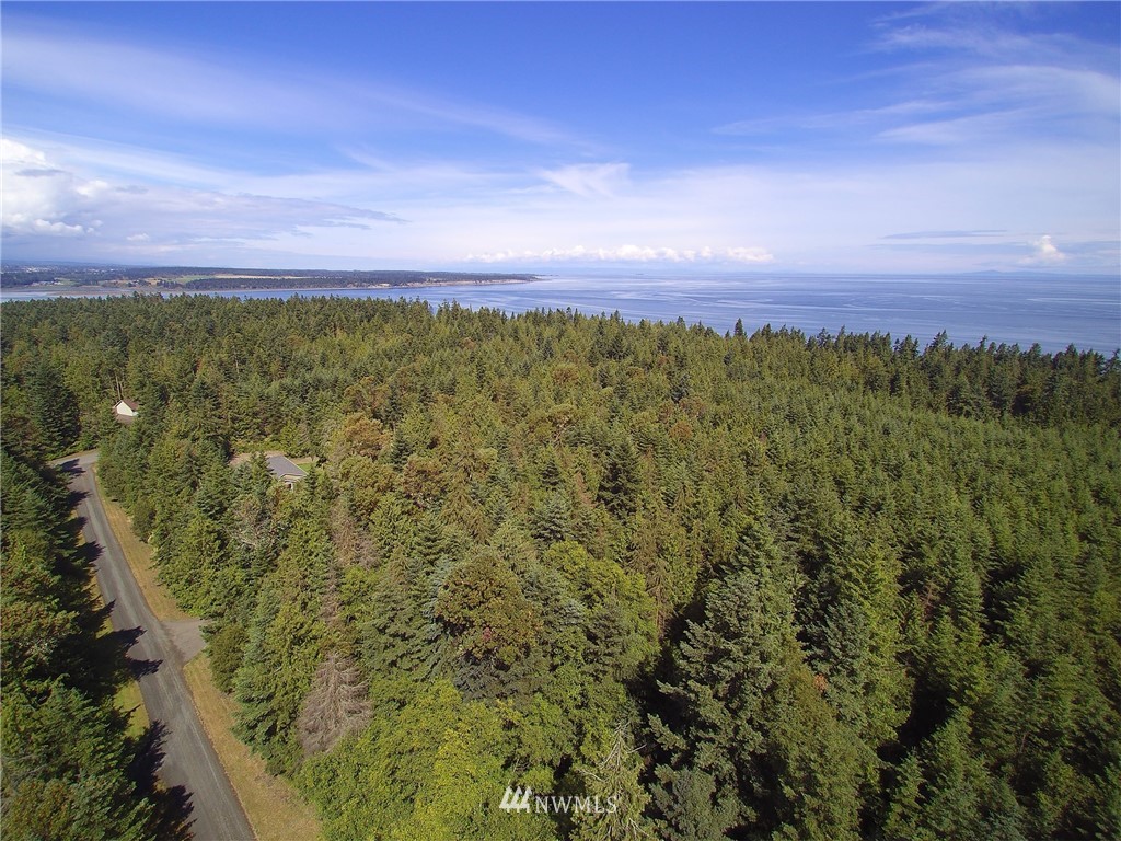 9999 Raintree Lane Sequim, WA 98382 - Photo 1 of 25 Gallery Image 1