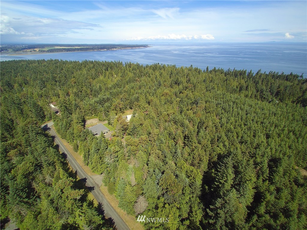 9999 Raintree Lane Sequim, WA 98382 - Photo 2 of 25 Gallery Image 2