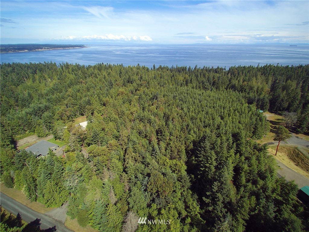 9999 Raintree Lane Sequim, WA 98382 - Photo 15 of 25 Gallery Image 15