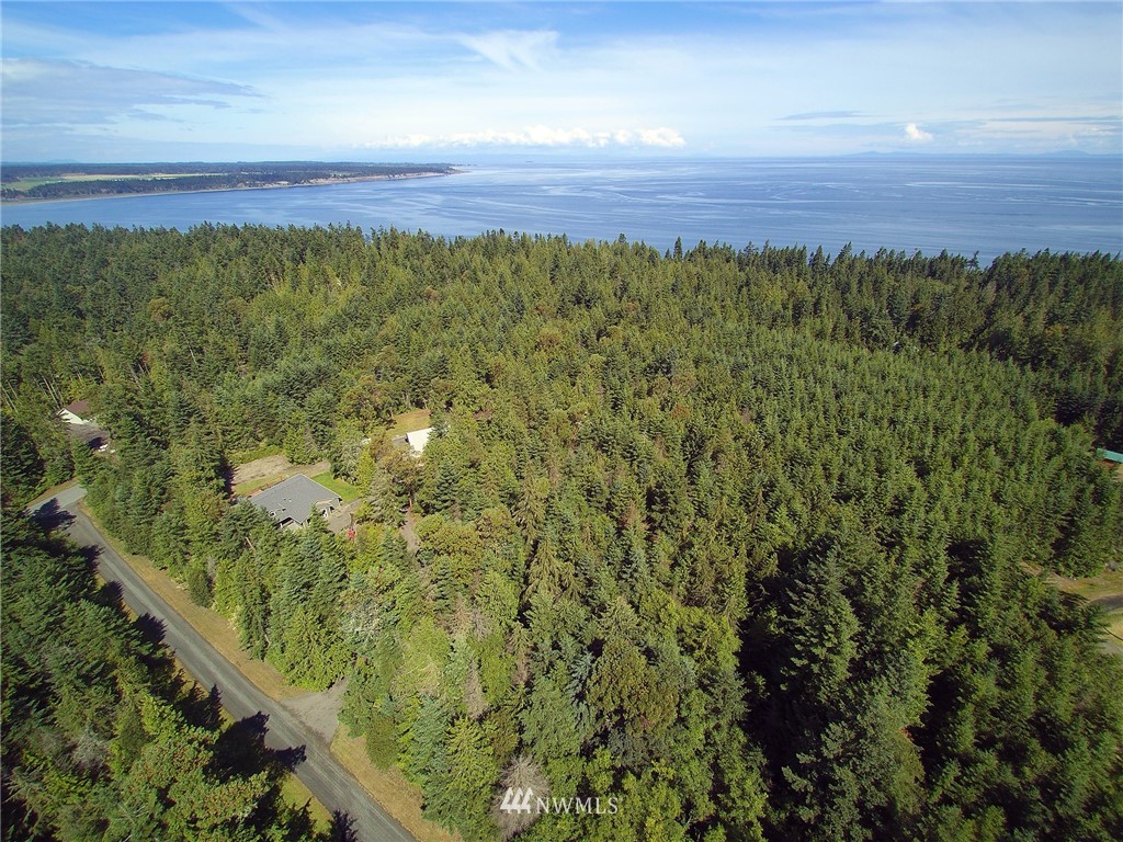 9999 Raintree Lane Sequim, WA 98382 - Photo 16 of 25 Gallery Image 16