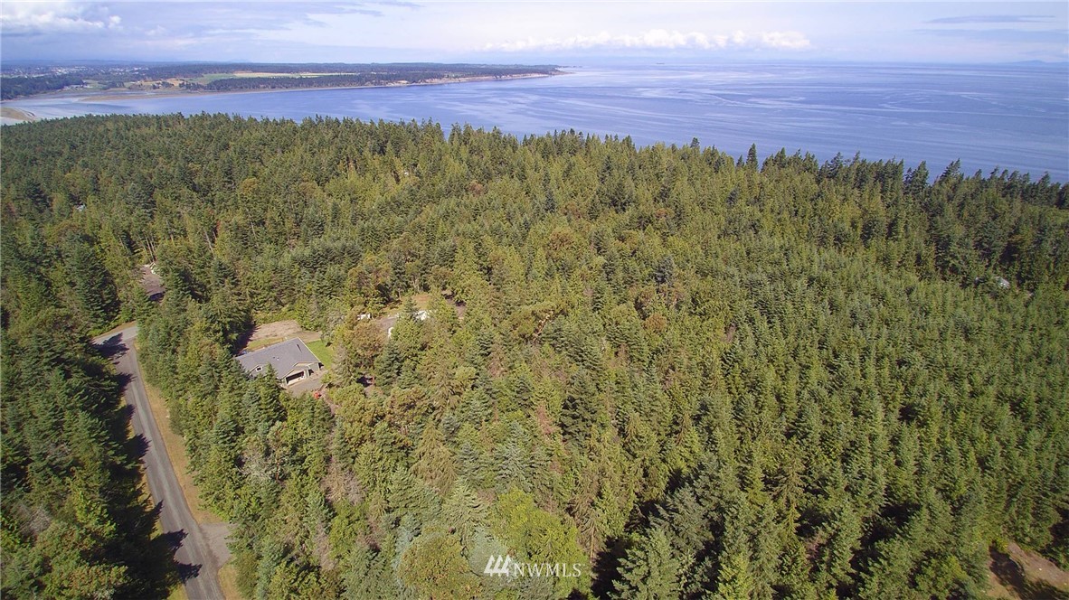 9999 Raintree Lane Sequim, WA 98382 - Photo 3 of 25 Gallery Image 3