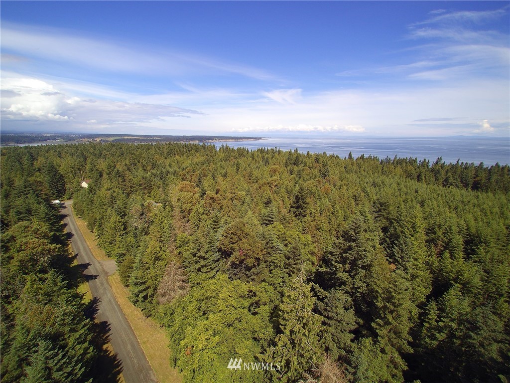 9999 Raintree Lane Sequim, WA 98382 - Photo 25 of 25 Gallery Image 25