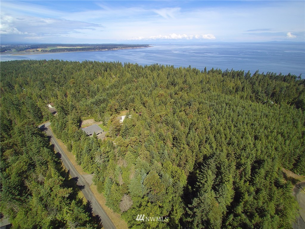 9999 Raintree Lane Sequim, WA 98382 - Photo 4 of 25 Gallery Image 4