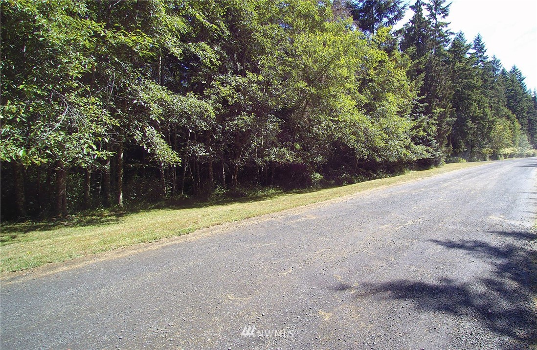9999 Raintree Lane Sequim, WA 98382 - Photo 10 of 25 Gallery Image 10