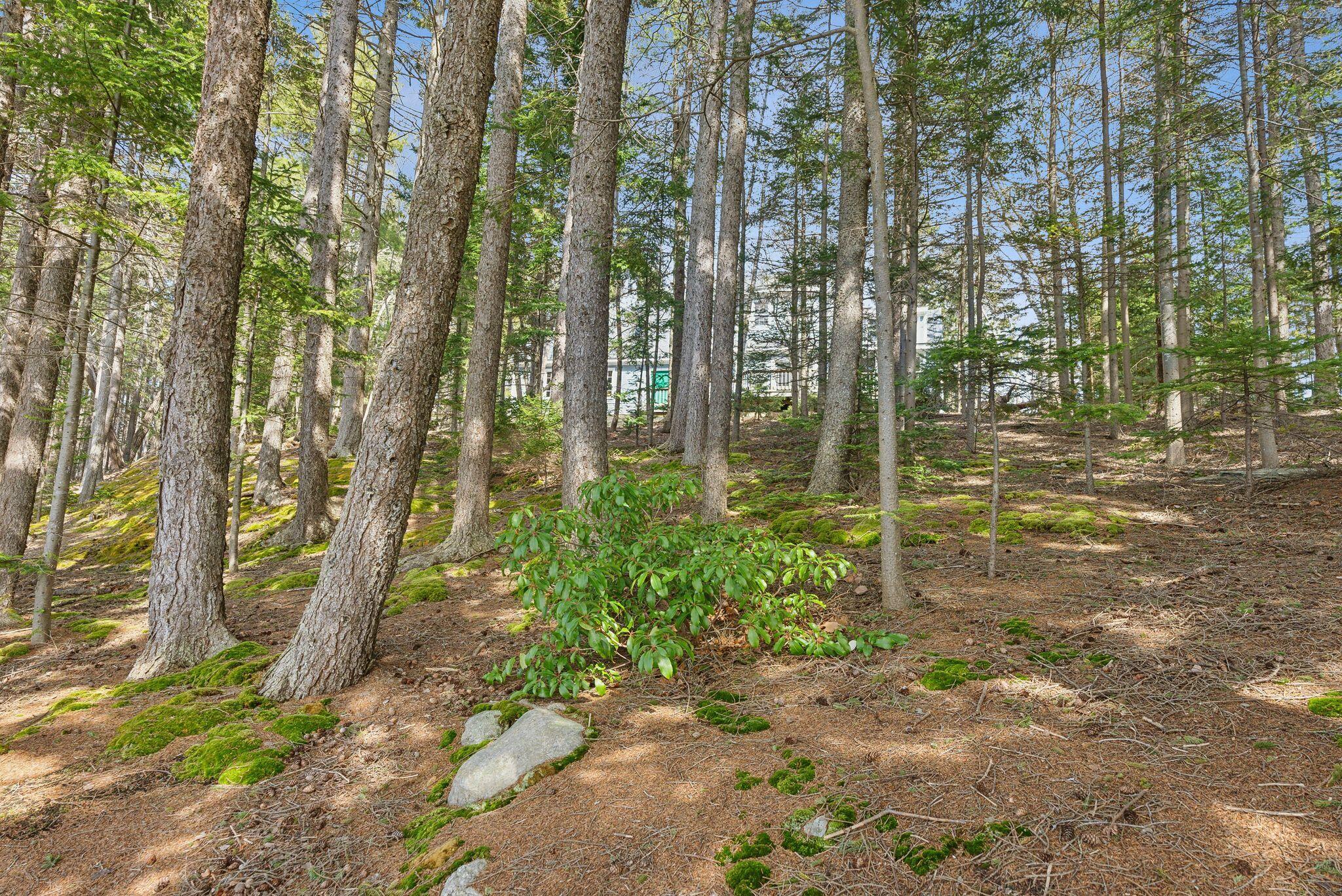 56 Headland Road Harpswell, ME 04079 - Photo 52 of 61 Lot