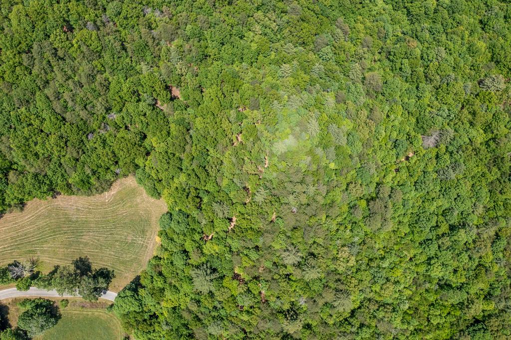 4.0-acre Donley Road Murphy, NC 28906 - Photo 9 of 15
