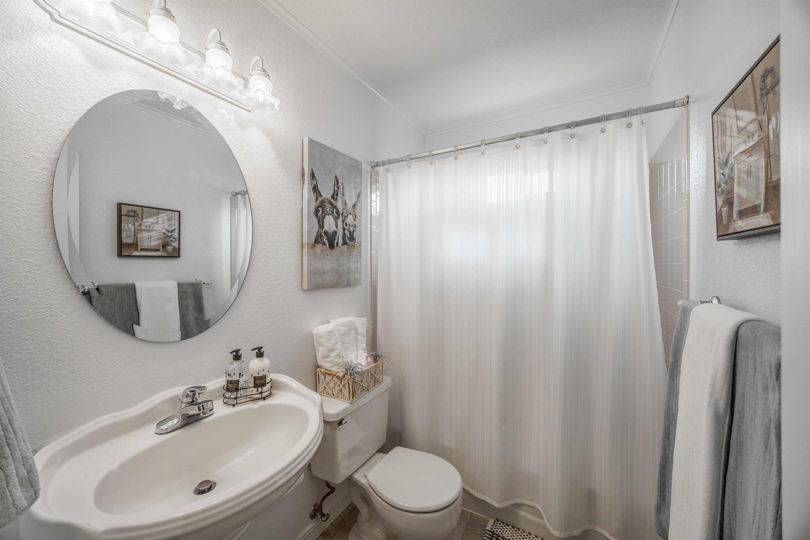 2135 Winston Way, Unit B Montrose, CO 81401 - Photo 23 of 25 a bathroom with a toilet a sink and a mirror