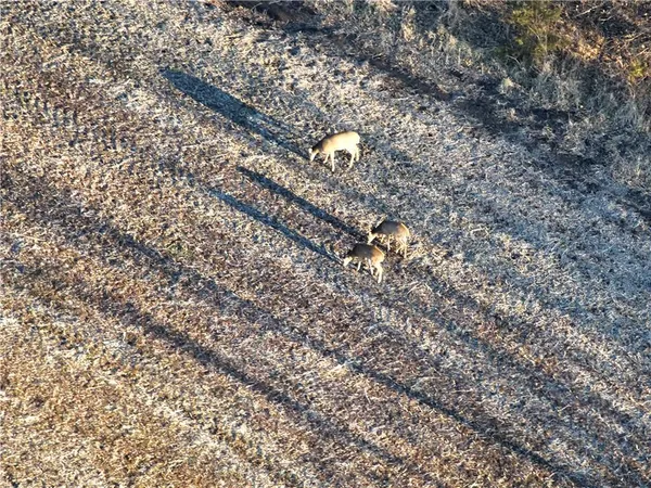 $896,000 | Tbd Southwest Tbd Sw State Route Highway, Amity, MO 64422