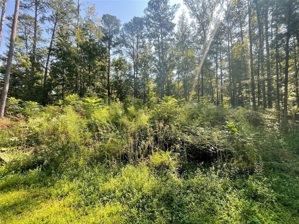 6031 Falcon Court Austell, GA 30106 - Photo 3 of 11