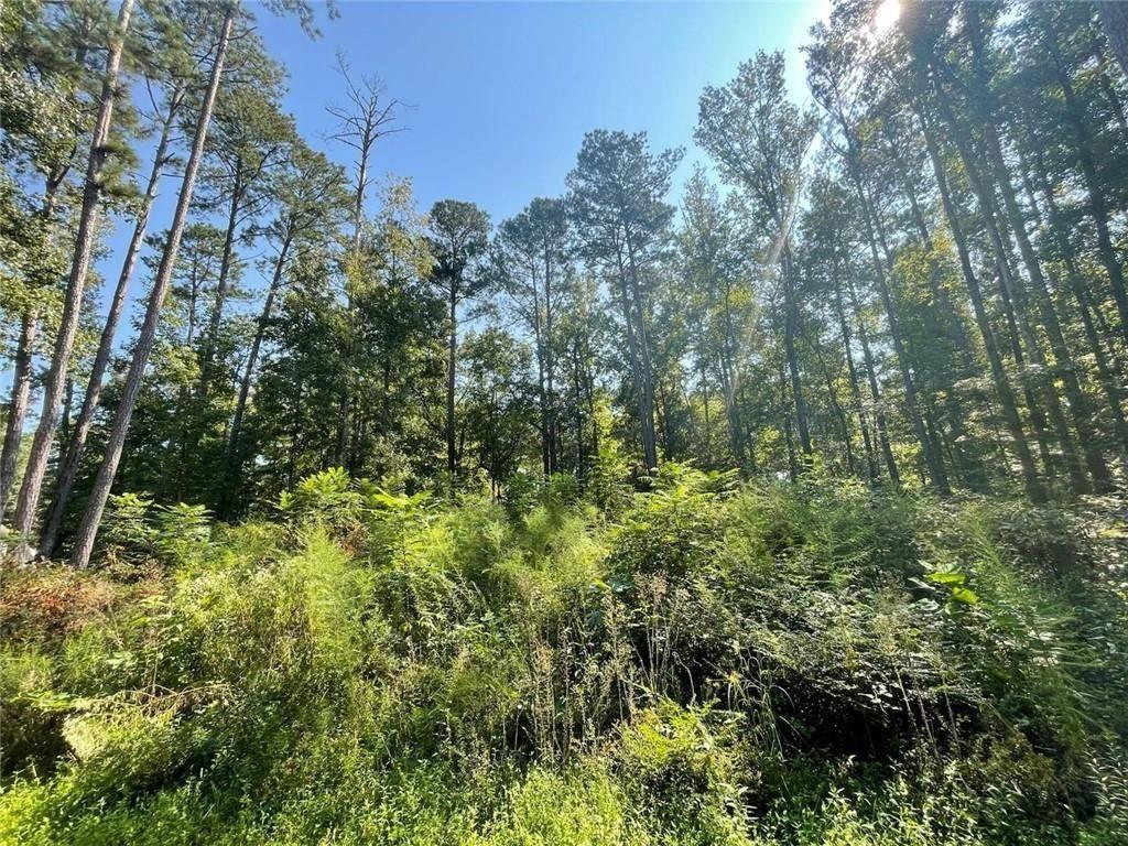 6031 Falcon Court Austell, GA 30106 - Photo 4 of 11