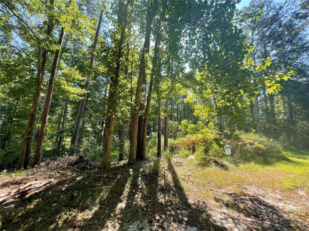 6031 Falcon Court Austell, GA 30106 - Photo 6 of 11