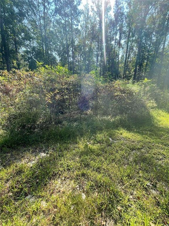 6031 Falcon Court Austell, GA 30106 - Photo 8 of 11