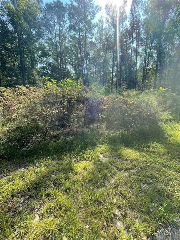 6031 Falcon Court Austell, GA 30106 - Photo 10 of 11