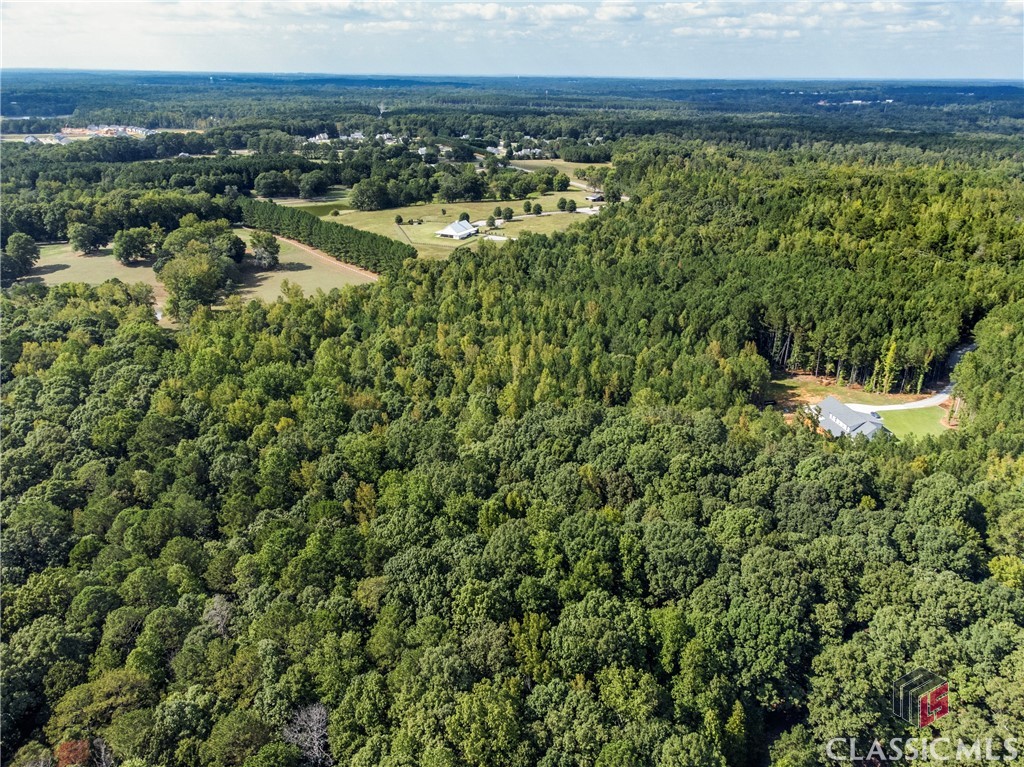 0 Hog Mountain Road Statham, GA 30666 - Photo 9 of 12 Gallery Image 9