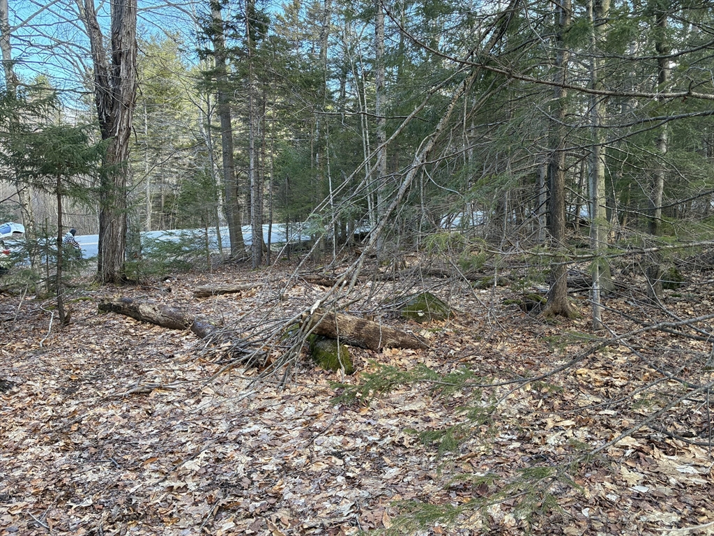 5 Leshures Road Rowe, MA 01367 - Photo 7 of 12