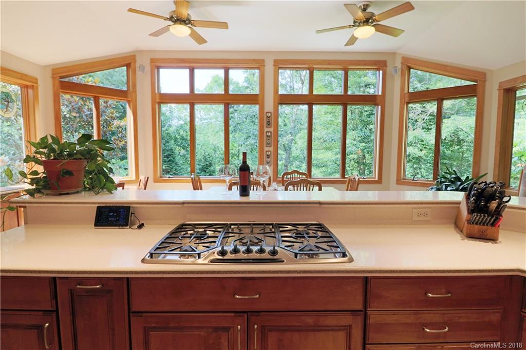 110 Arrowhead Road Brevard, NC 28712 - Photo 13 of 36 Gallery Image 13