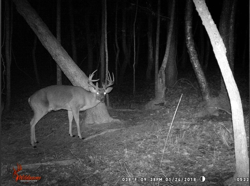 9999 Macedonia Road Gloster, MS 39638 - Photo 11 of 43 Photo 11