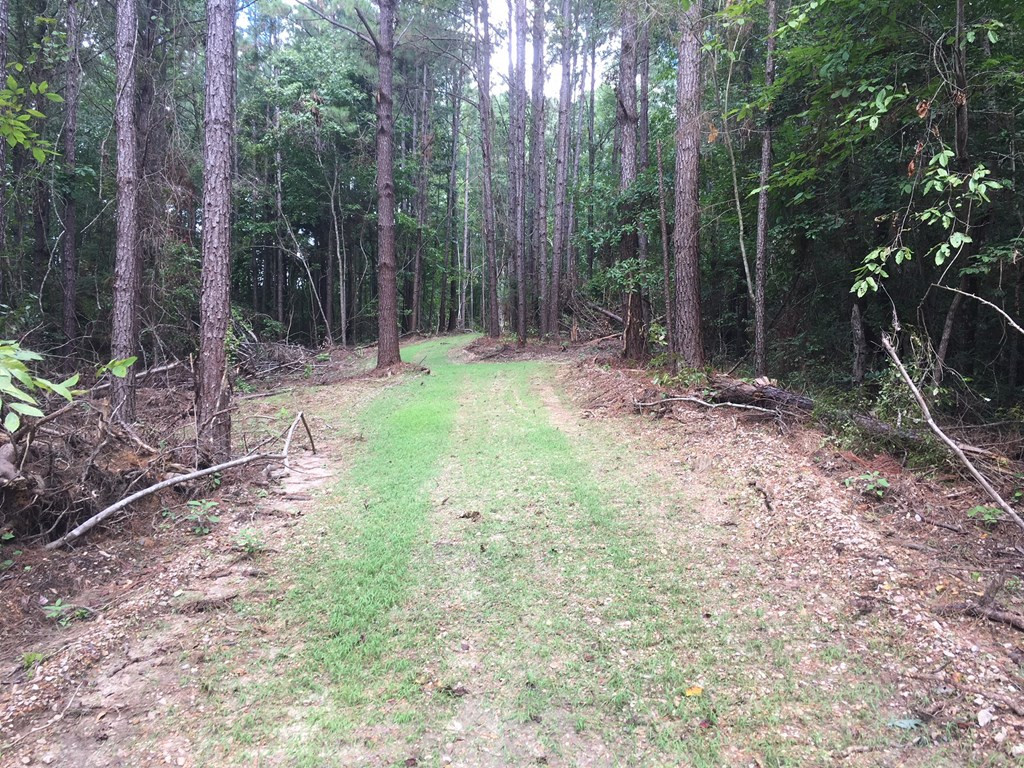 9999 Macedonia Road Gloster, MS 39638 - Photo 12 of 43 Photo 12