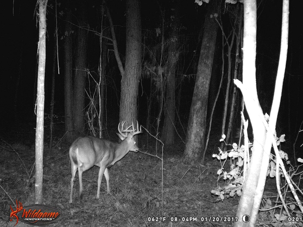 9999 Macedonia Road Gloster, MS 39638 - Photo 17 of 43 Photo 17