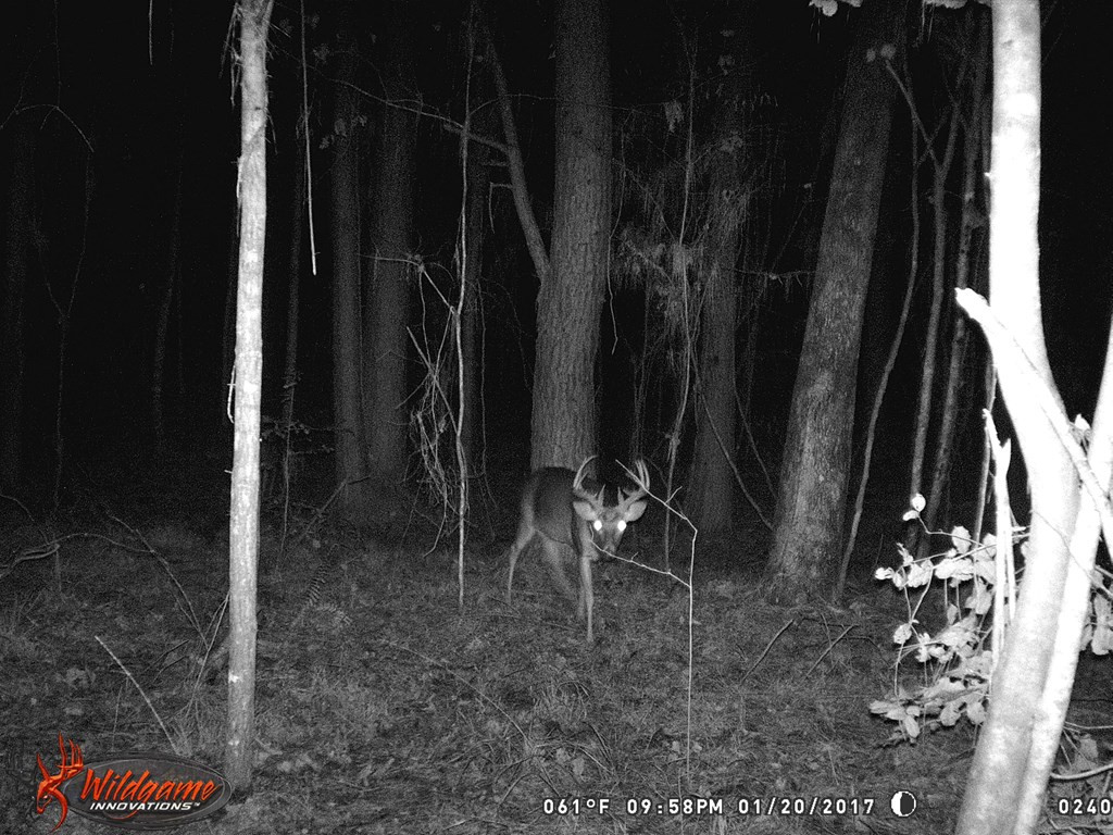9999 Macedonia Road Gloster, MS 39638 - Photo 19 of 43 Photo 19