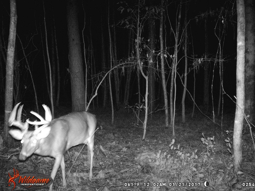 9999 Macedonia Road Gloster, MS 39638 - Photo 20 of 43 Photo 20