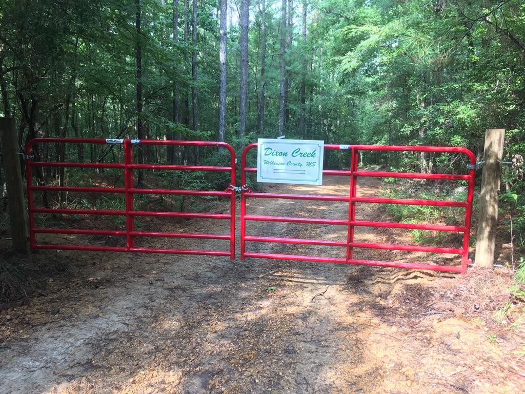 9999 Macedonia Road Gloster, MS 39638 - Photo 2 of 43 Photo 2