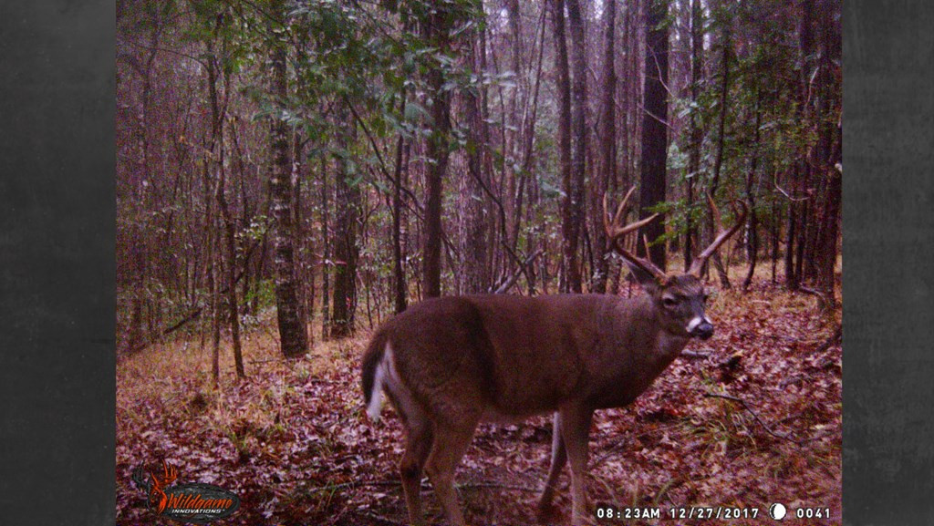 9999 Macedonia Road Gloster, MS 39638 - Photo 24 of 43 Photo 24