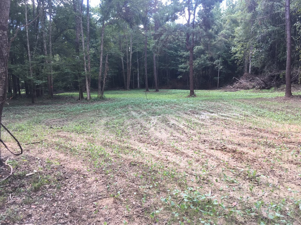9999 Macedonia Road Gloster, MS 39638 - Photo 26 of 43 Photo 26