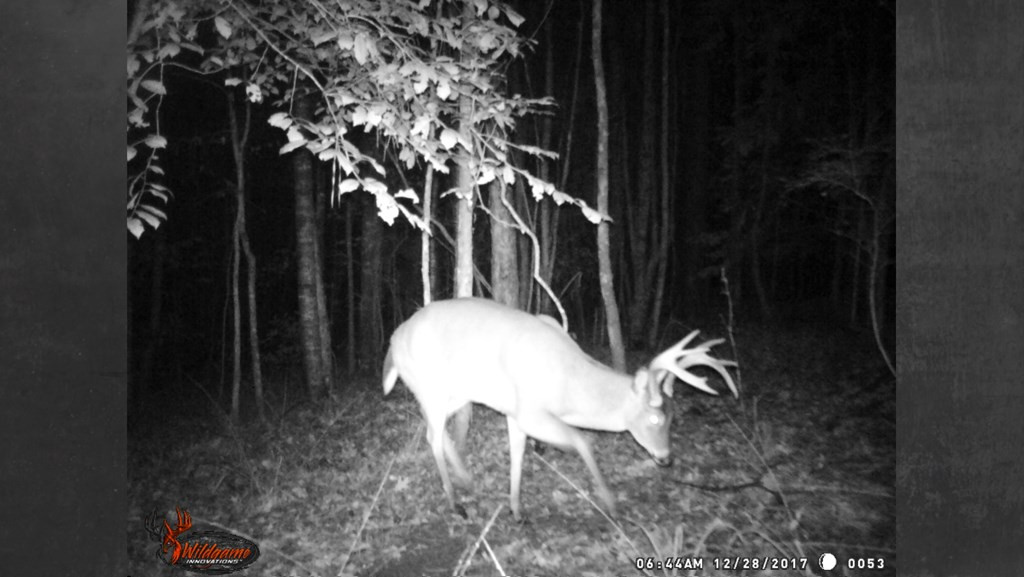 9999 Macedonia Road Gloster, MS 39638 - Photo 27 of 43 Photo 27