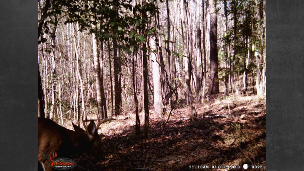 9999 Macedonia Road Gloster, MS 39638 - Photo 29 of 43 Photo 29