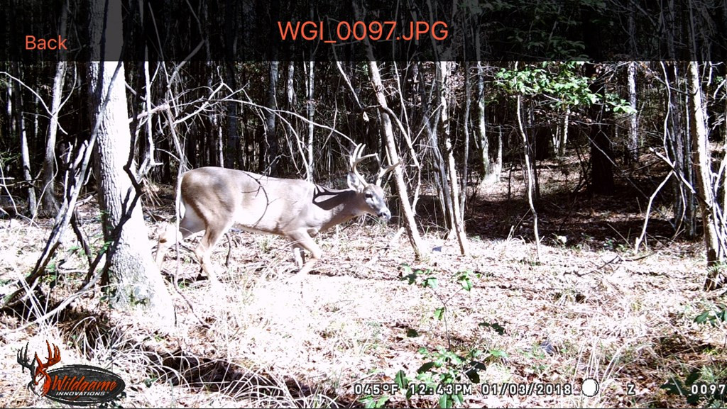 9999 Macedonia Road Gloster, MS 39638 - Photo 30 of 43 Photo 30