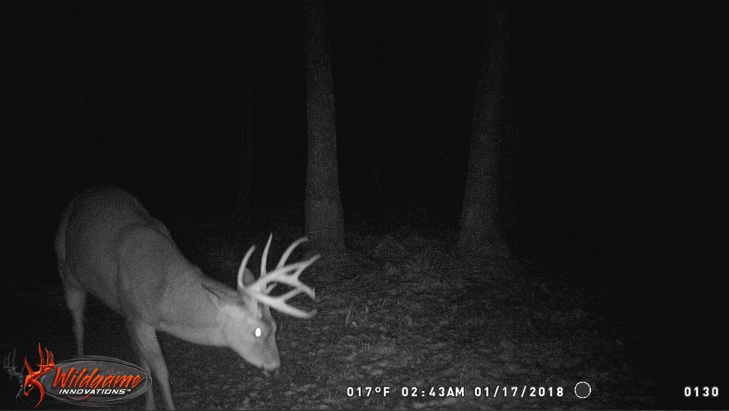 9999 Macedonia Road Gloster, MS 39638 - Photo 31 of 43 Photo 31