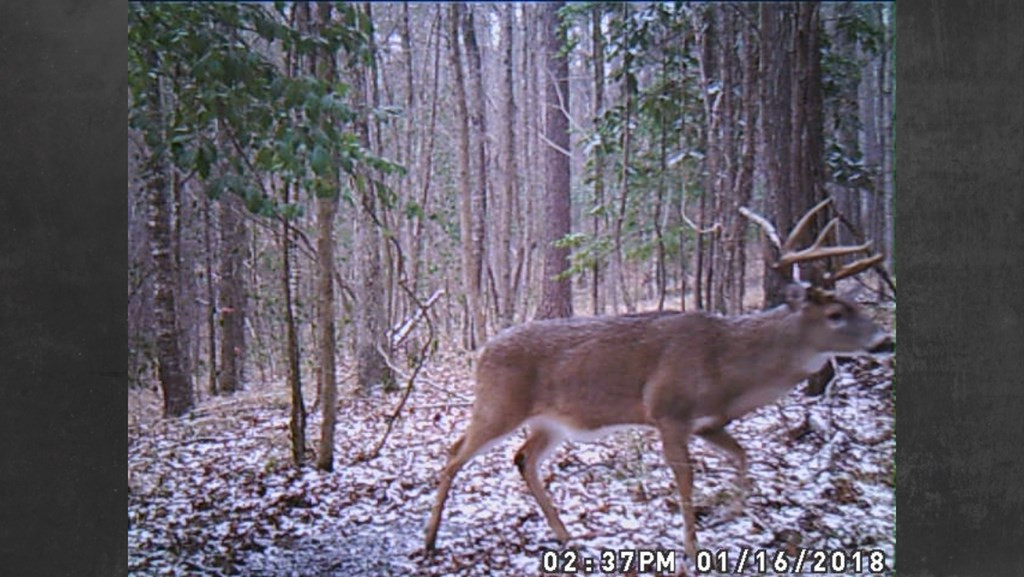 9999 Macedonia Road Gloster, MS 39638 - Photo 33 of 43 Photo 33