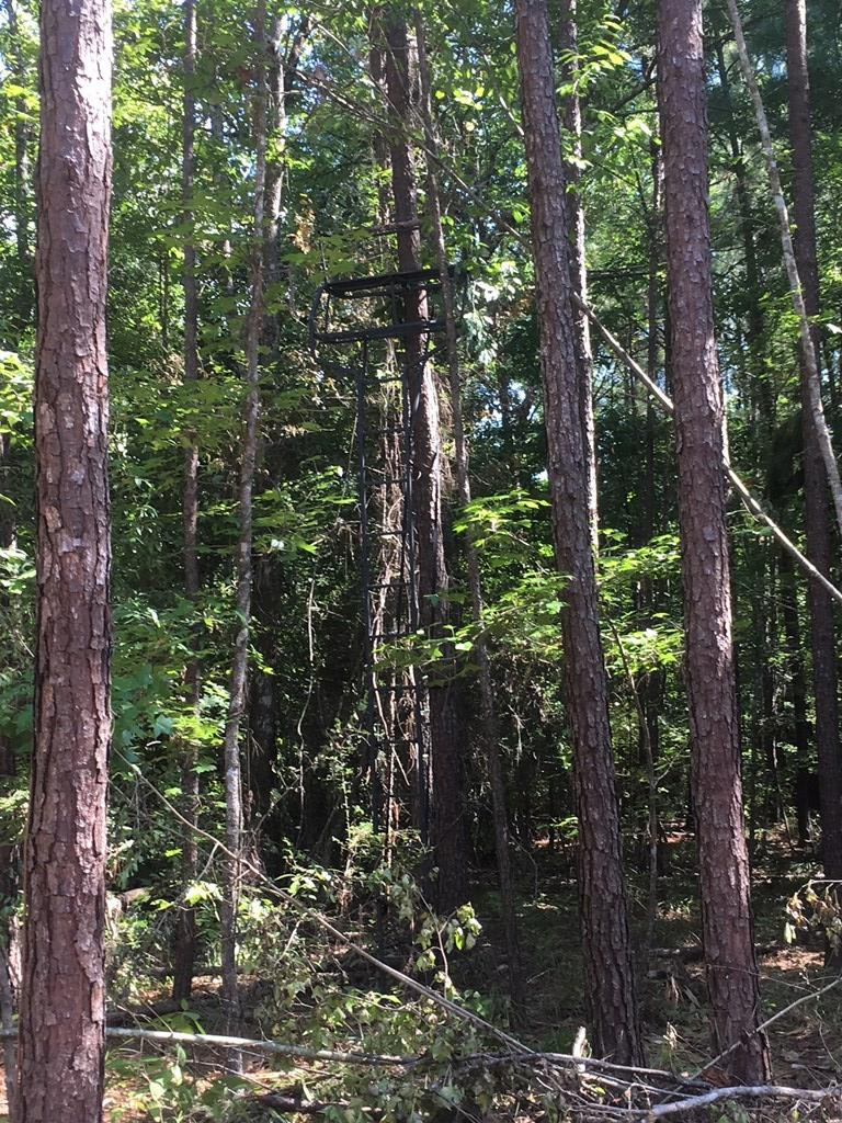 9999 Macedonia Road Gloster, MS 39638 - Photo 34 of 43 Photo 34