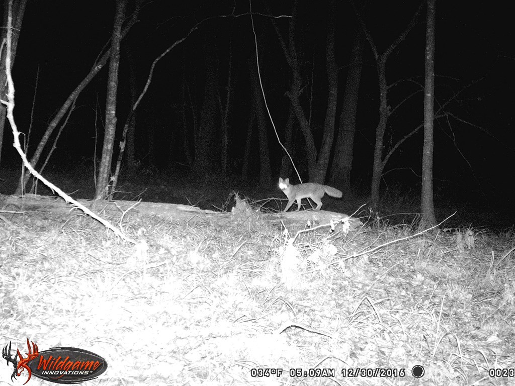 9999 Macedonia Road Gloster, MS 39638 - Photo 37 of 43 Photo 37