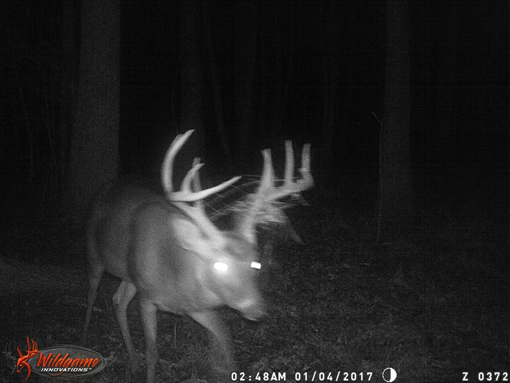 9999 Macedonia Road Gloster, MS 39638 - Photo 42 of 43 Photo 42