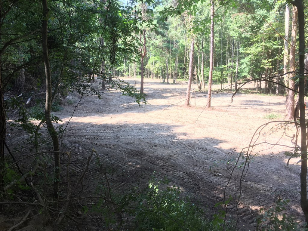 9999 Macedonia Road Gloster, MS 39638 - Photo 6 of 43 Photo 6