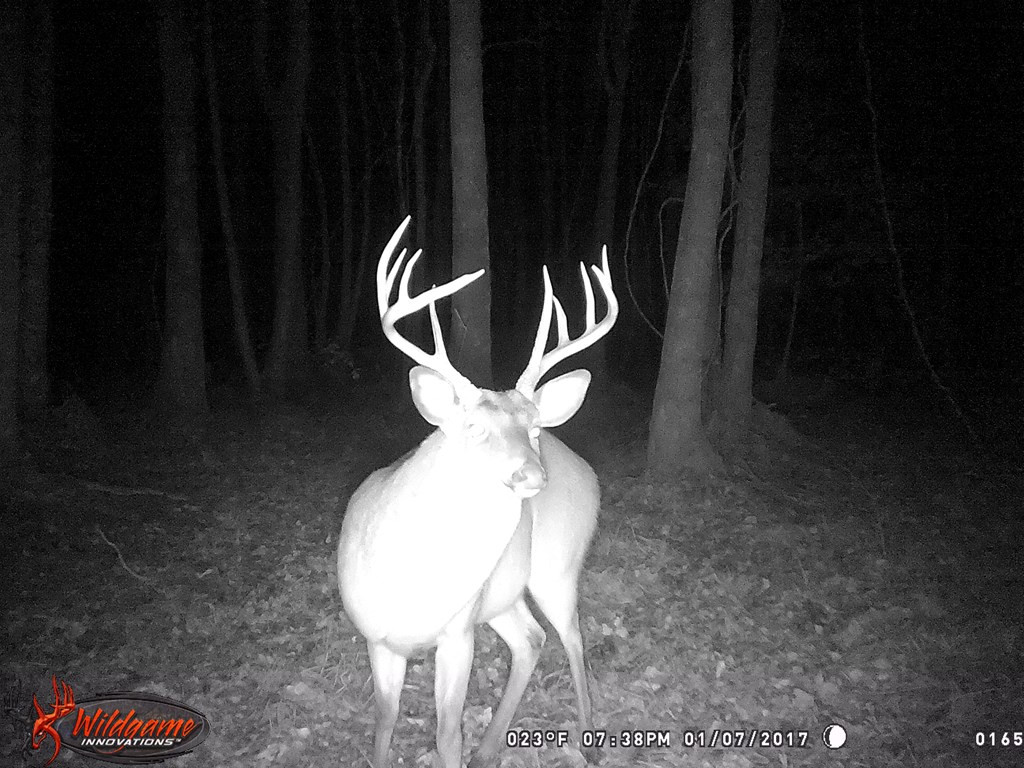 9999 Macedonia Road Gloster, MS 39638 - Photo 8 of 43 Photo 8