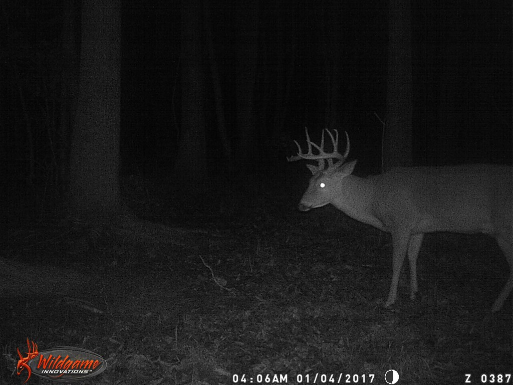 9999 Macedonia Road Gloster, MS 39638 - Photo 9 of 43 Photo 9
