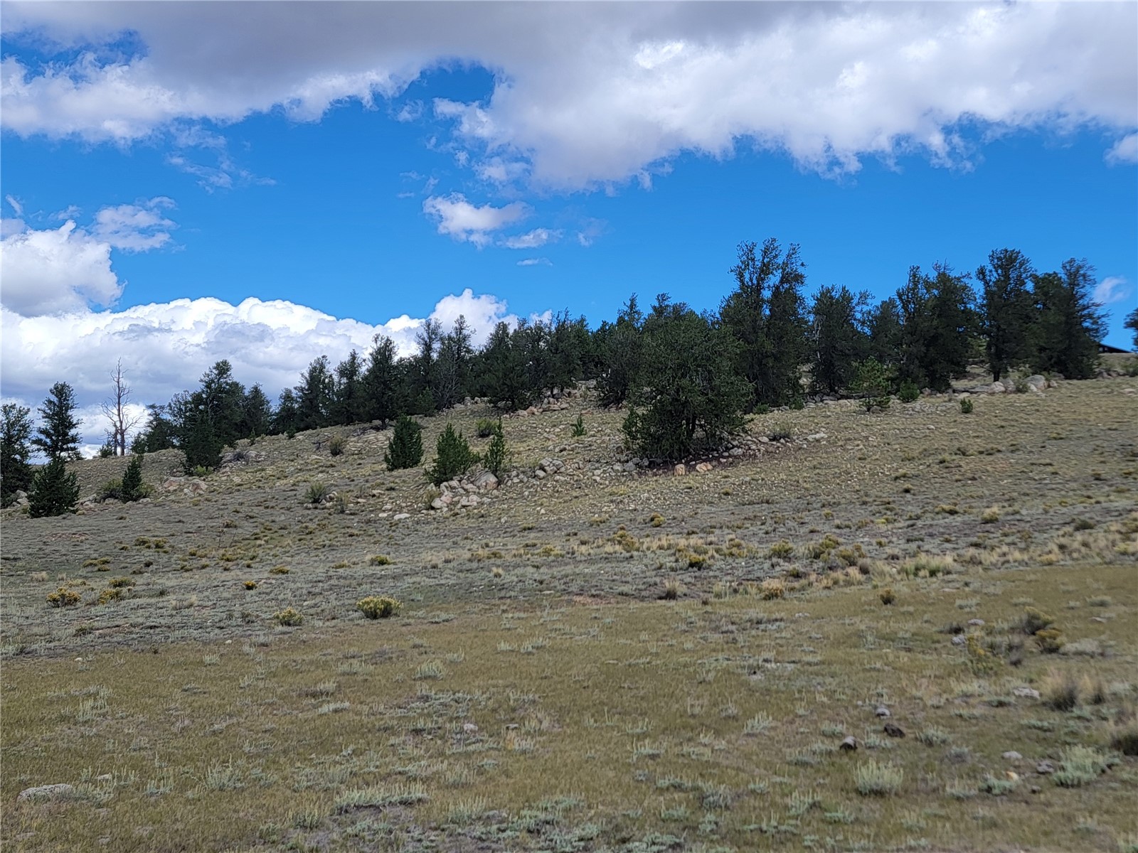 20 Yellowstone Road Hartsel, CO 80449 - Photo 34 of 50 Gallery Image 34