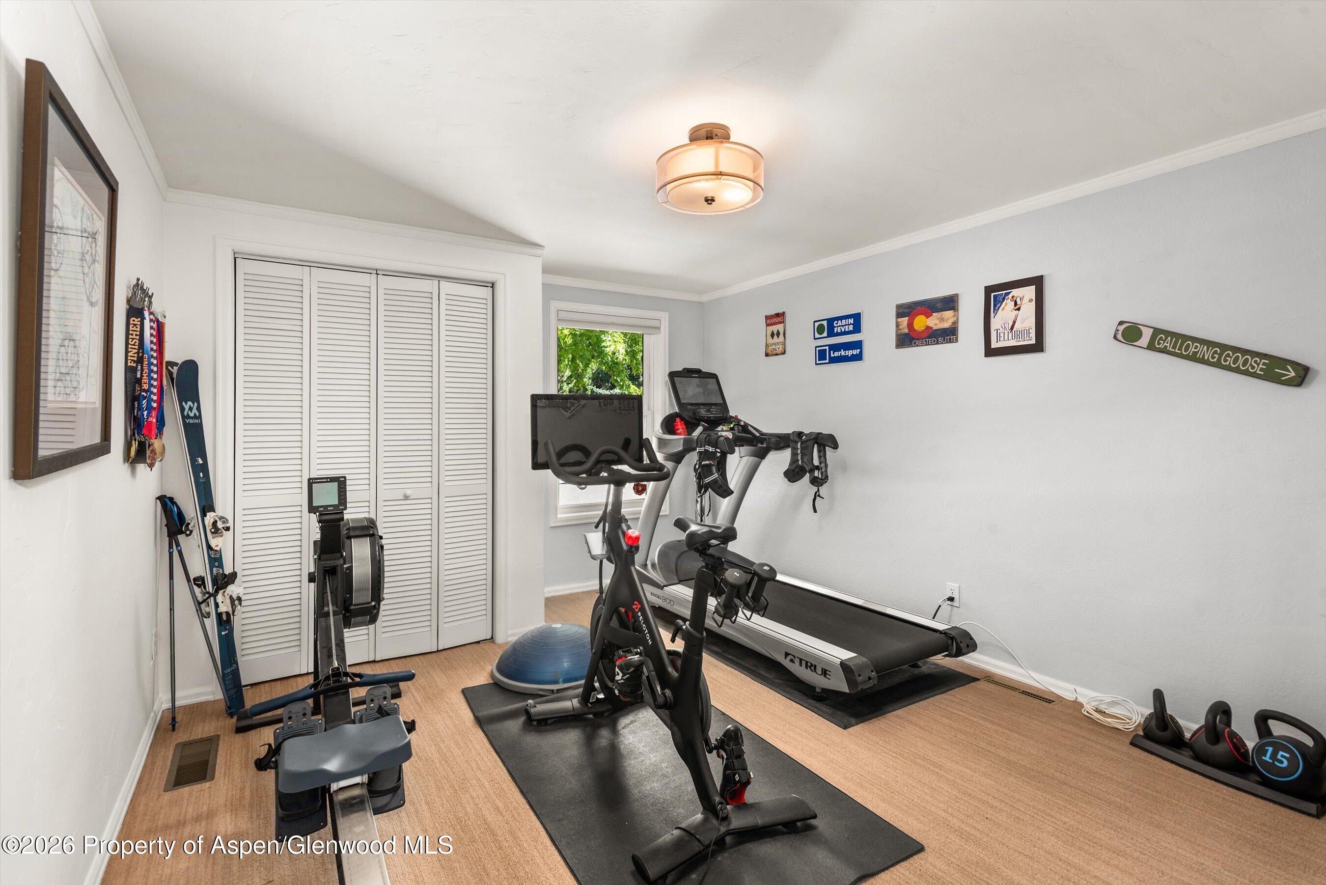 63 Badger Road Carbondale, CO 81623 - Photo 17 of 27 30-63Badger_06112026030