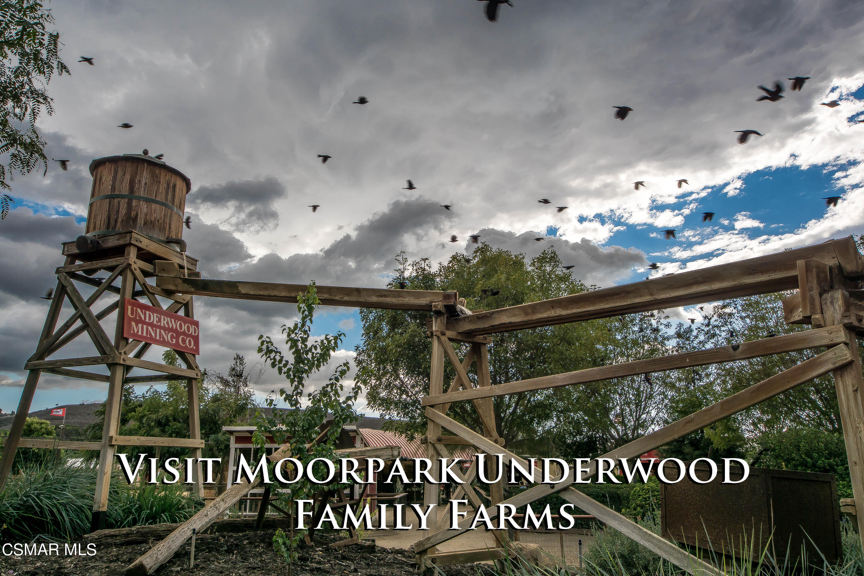 6951 Ridgemark Court Moorpark, CA 93021 - Photo 58 of 65 underwood