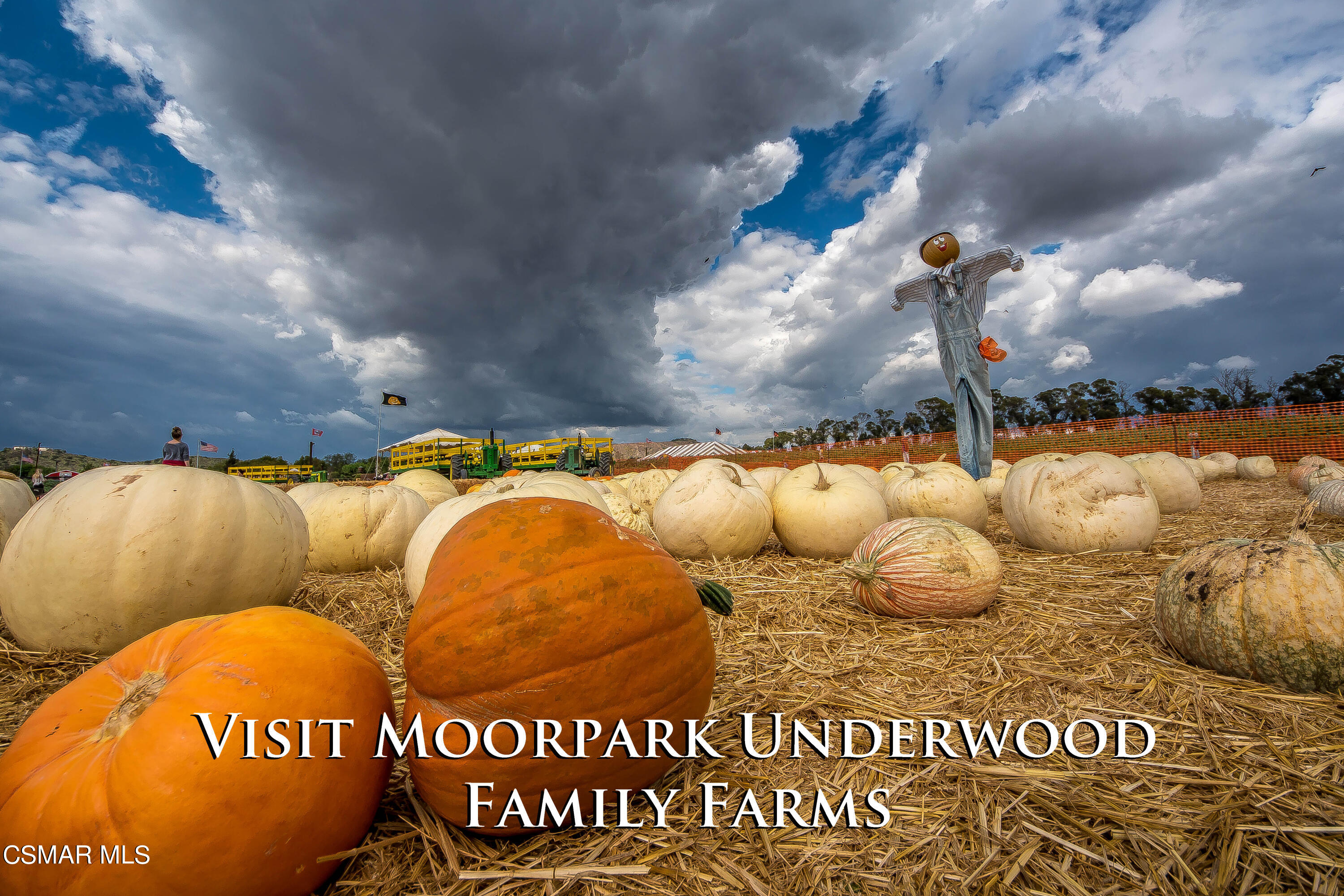 6951 Ridgemark Court Moorpark, CA 93021 - Photo 59 of 65 underwood 2