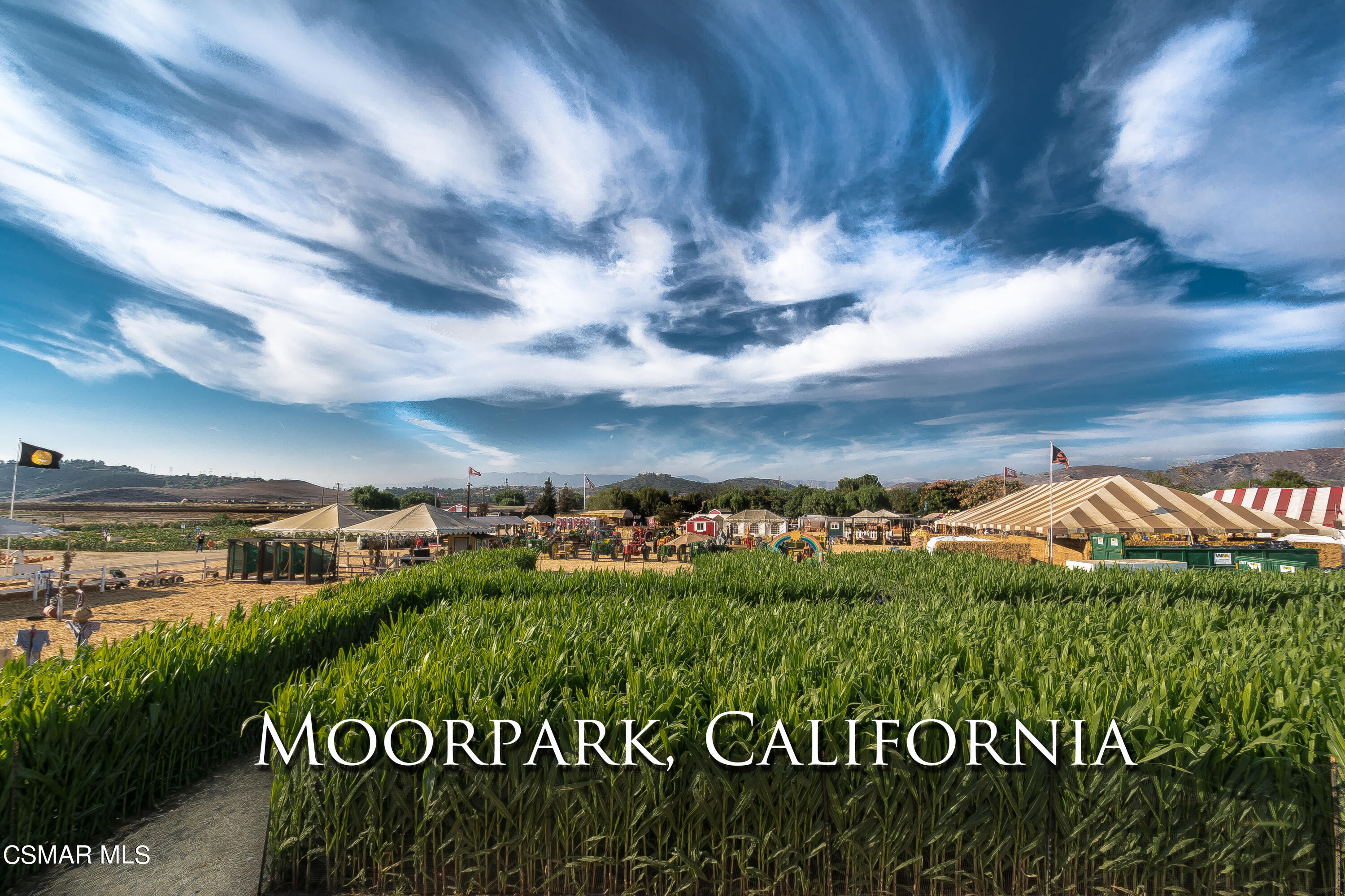 6951 Ridgemark Court Moorpark, CA 93021 - Photo 61 of 65 DSC03845-1 copy