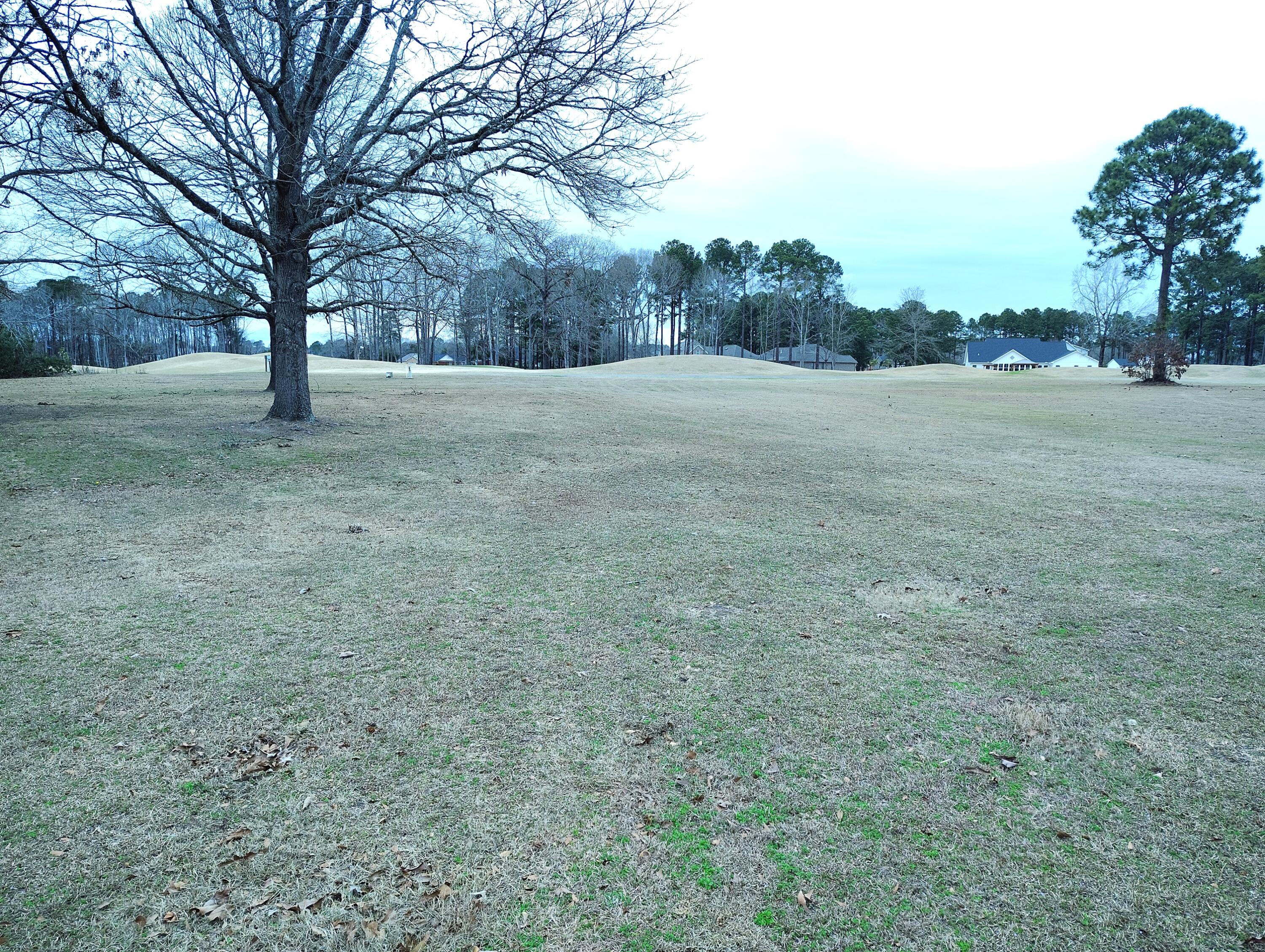40 North Lake Circle Manning, SC 29102 - Photo 2 of 23 IMG_20260226_133456679