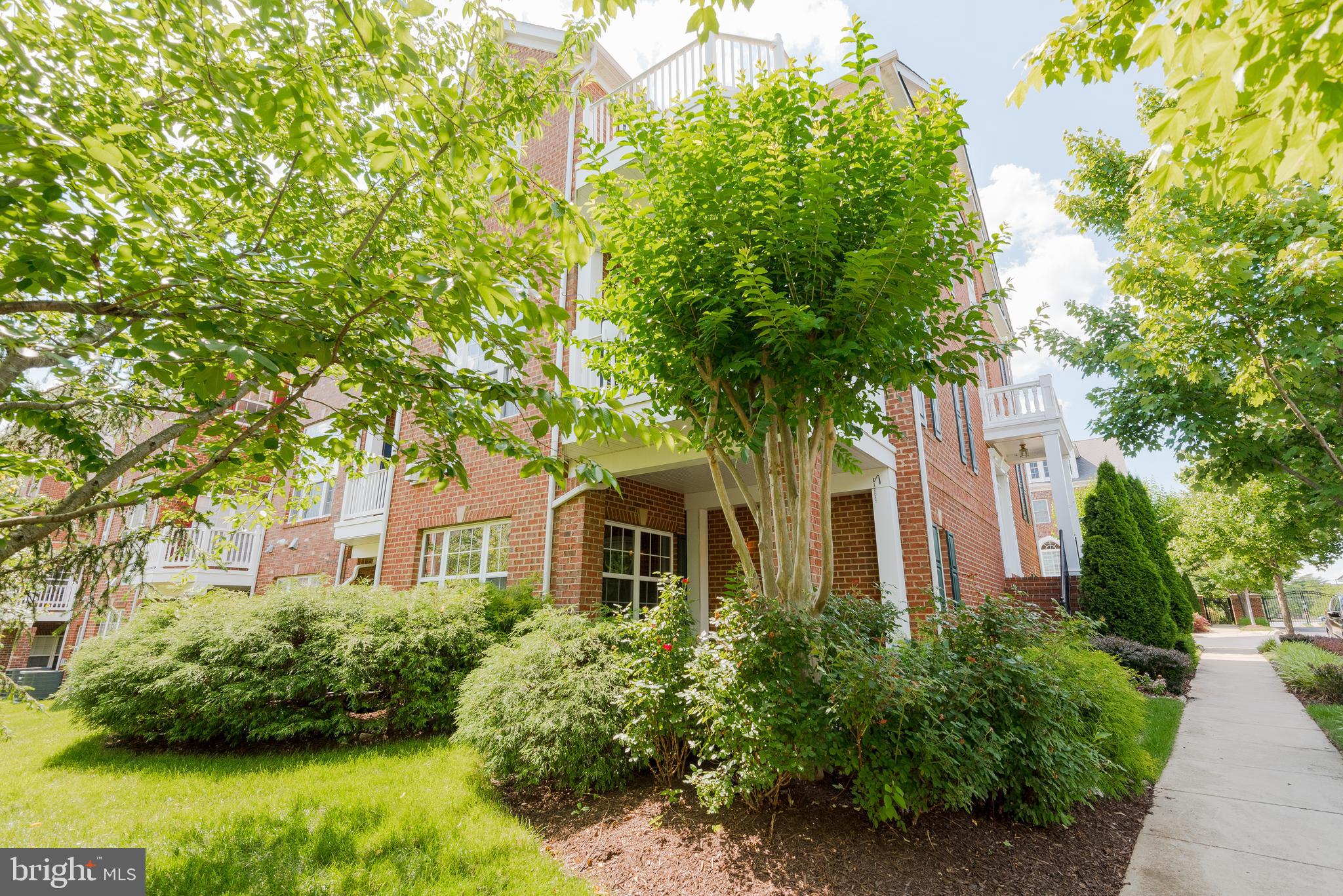 2703 Merlot Lane Annapolis, MD 21401 - Photo 50 of 63 Lots of Greenery
