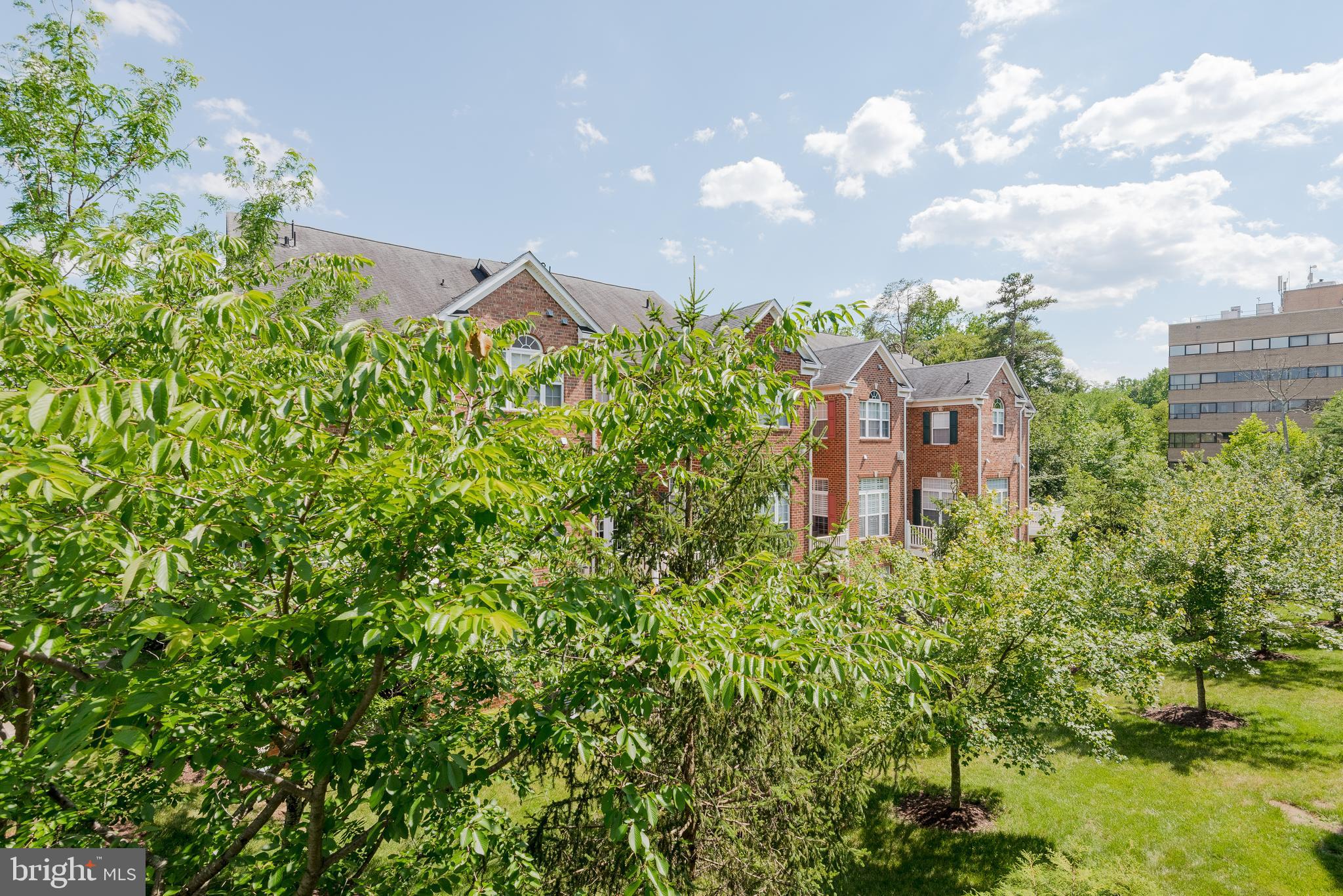 2703 Merlot Lane Annapolis, MD 21401 - Photo 59 of 63 Neighborhood Greenery