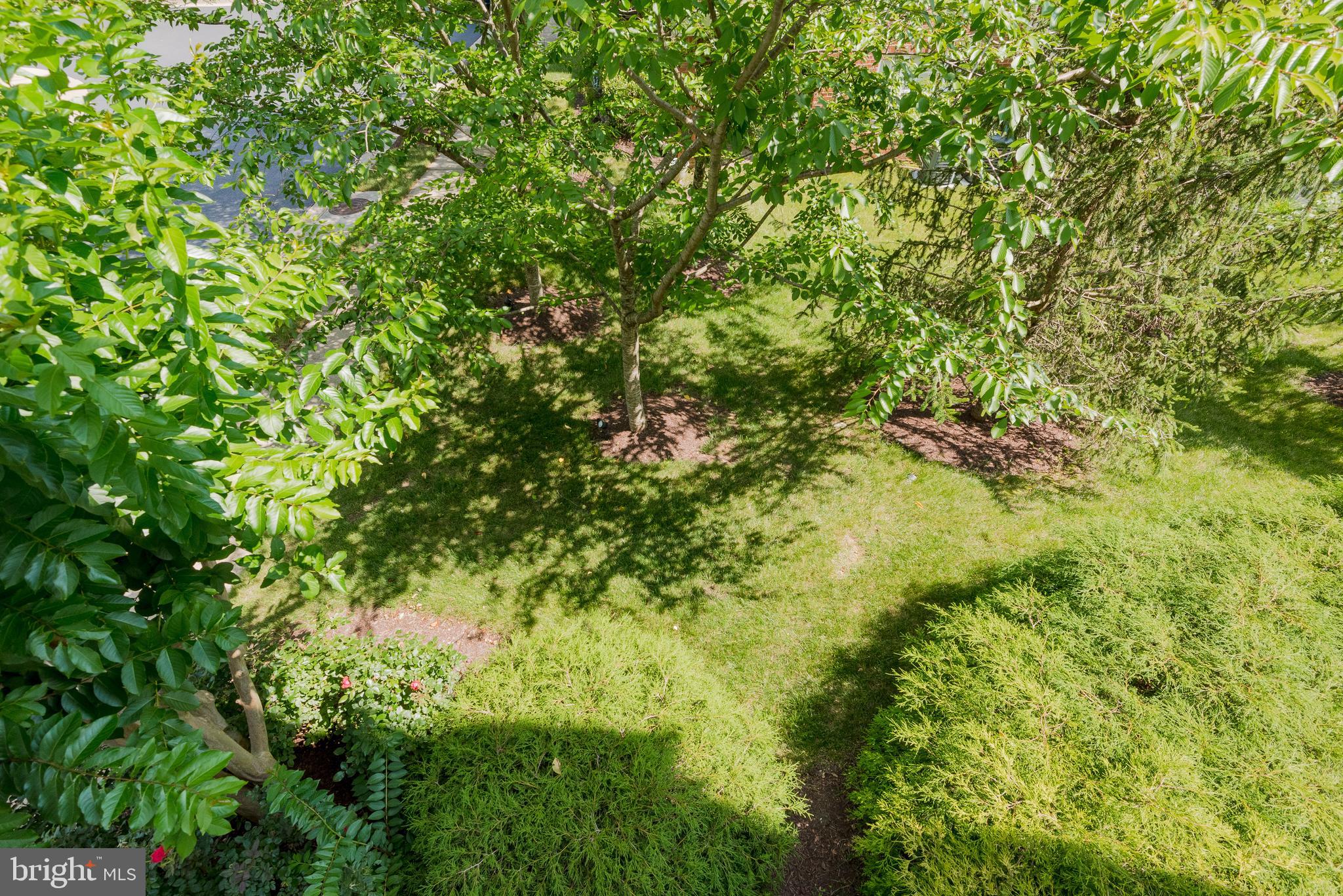 2703 Merlot Lane Annapolis, MD 21401 - Photo 63 of 63