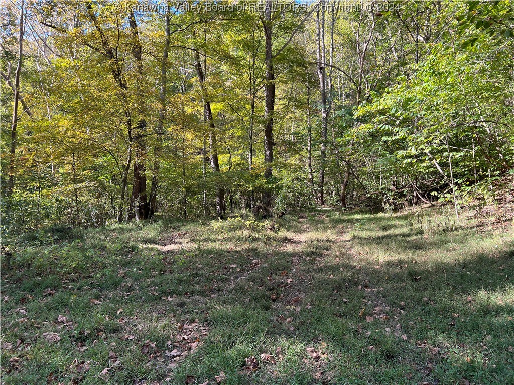 1586 Porter Creek Road Bomont, WV 25030 - Photo 9 of 12 Gallery Image 9